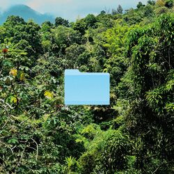 Cover of Creation