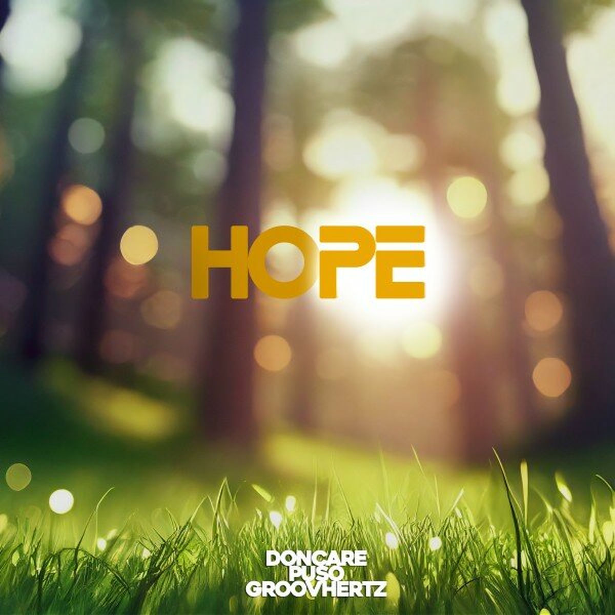 Album cover of Hope