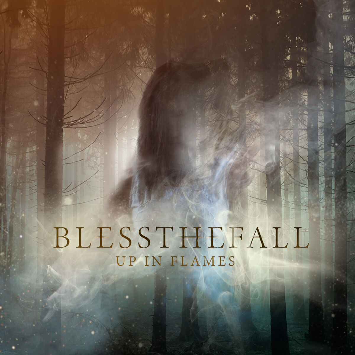 Album cover of Up in Flames