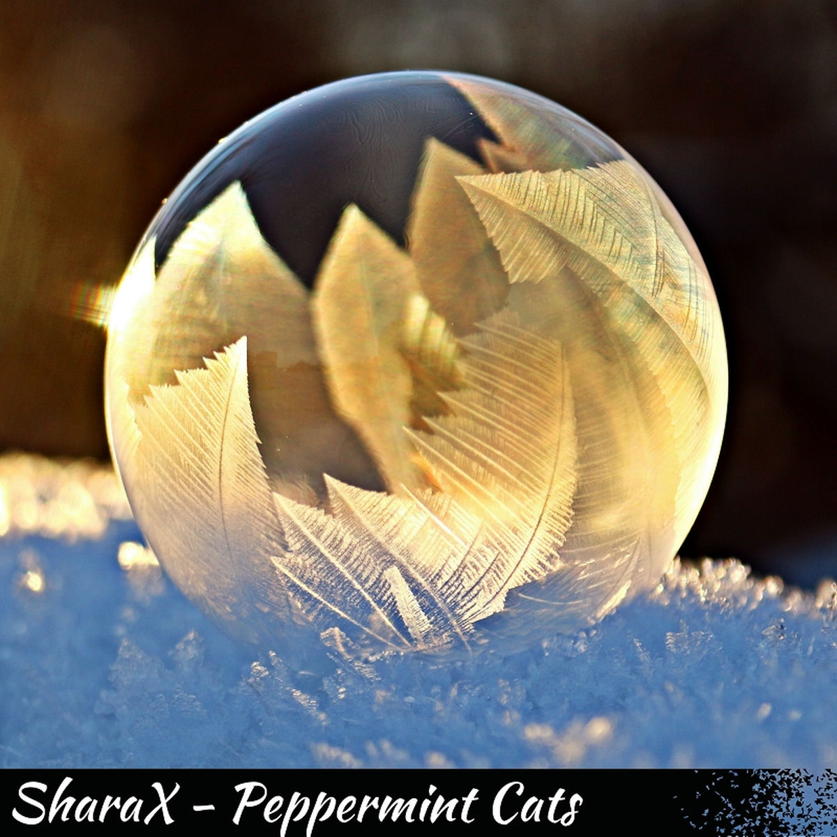 Album cover of Peppermint Cats
