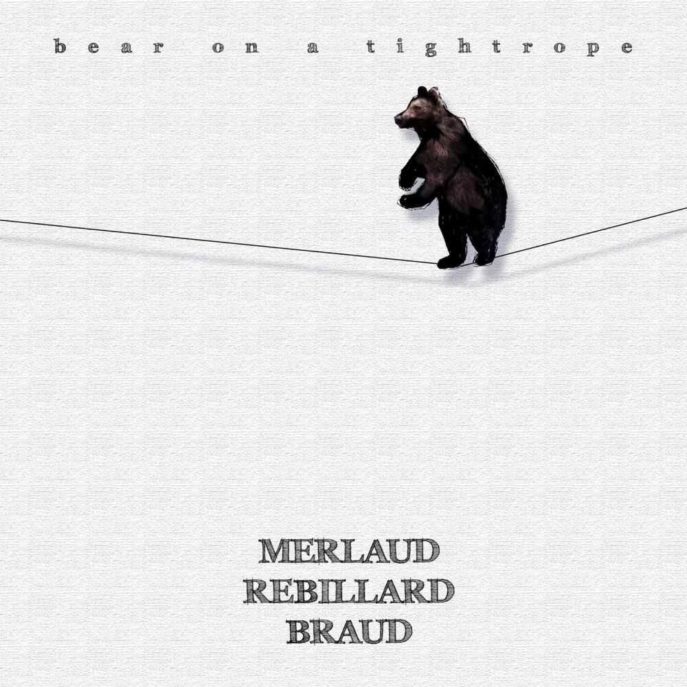Picture of Bear on a Tightrope