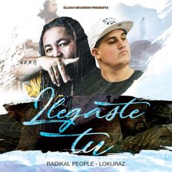 Cover of Llegaste Tu