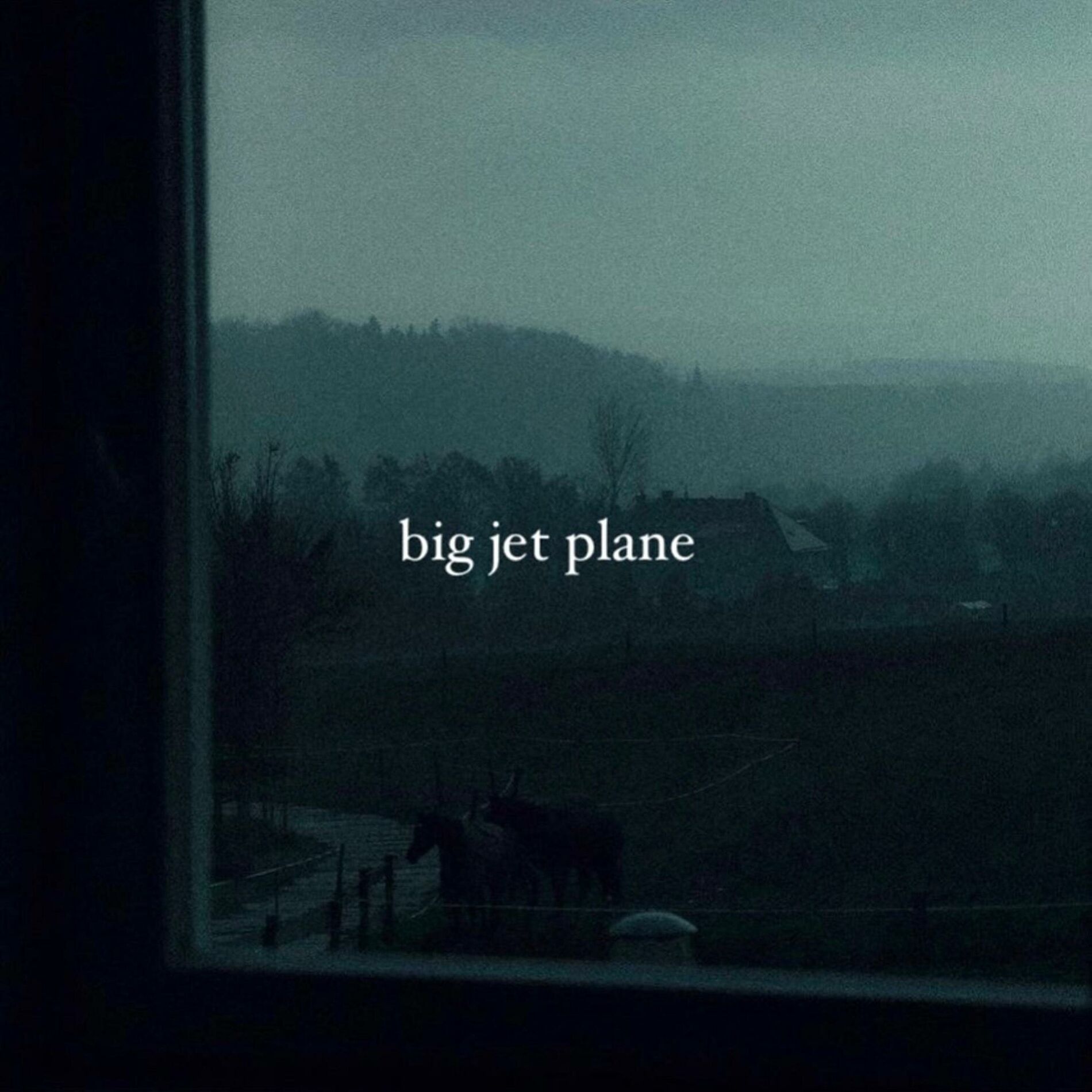 Album cover of big jet plane