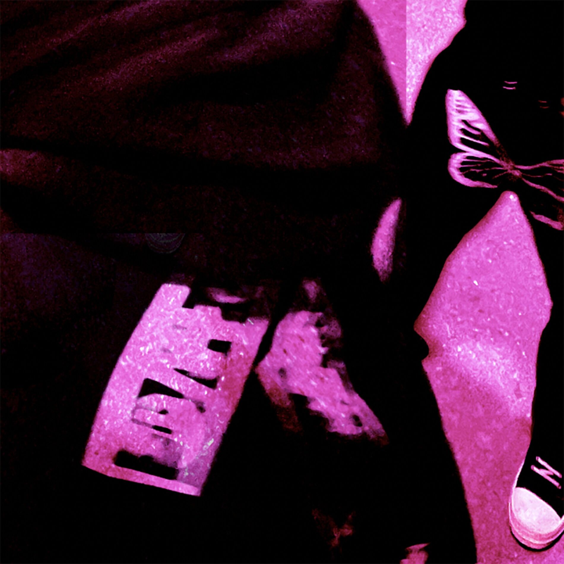 Album cover of FLOWERS