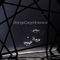 Kiss of the Bee by Strange Cargo album cover
