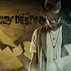 Cover of My Destiny