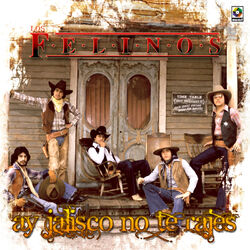 Cover of Ay, Jalisco No Te Rajes