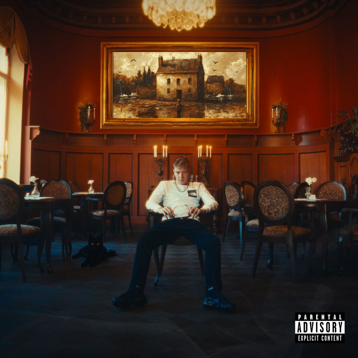 Album cover of SELVIYTYJÄ