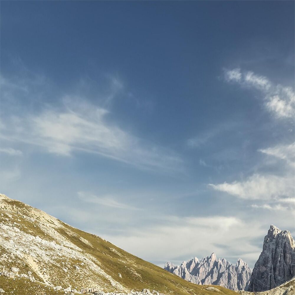 Picture of Moreno