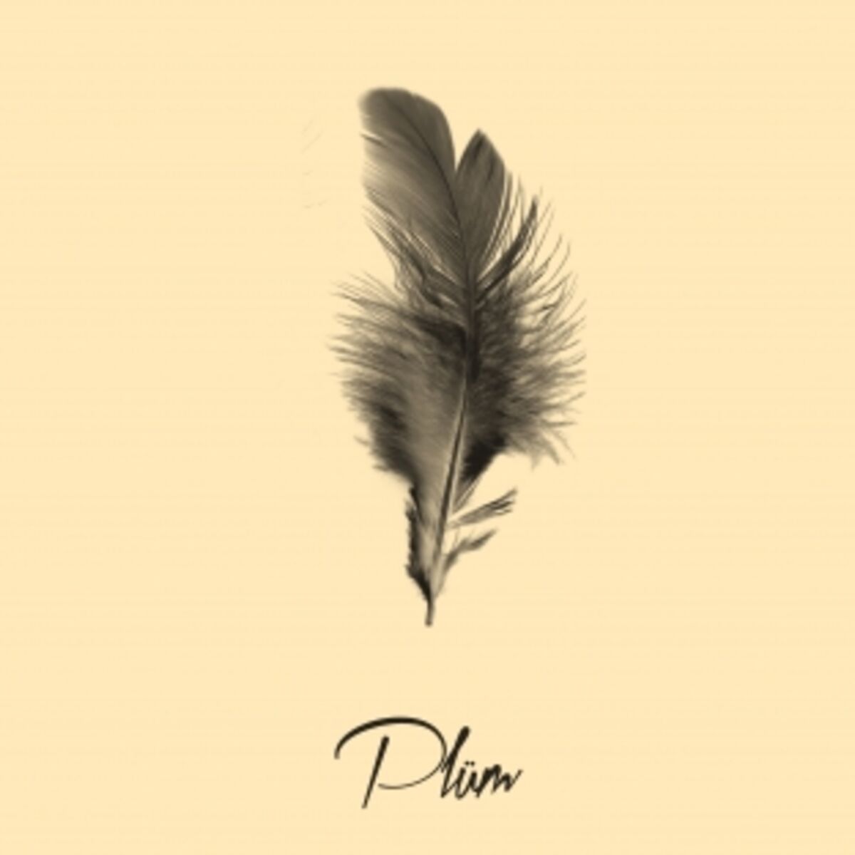 Album cover of True Love