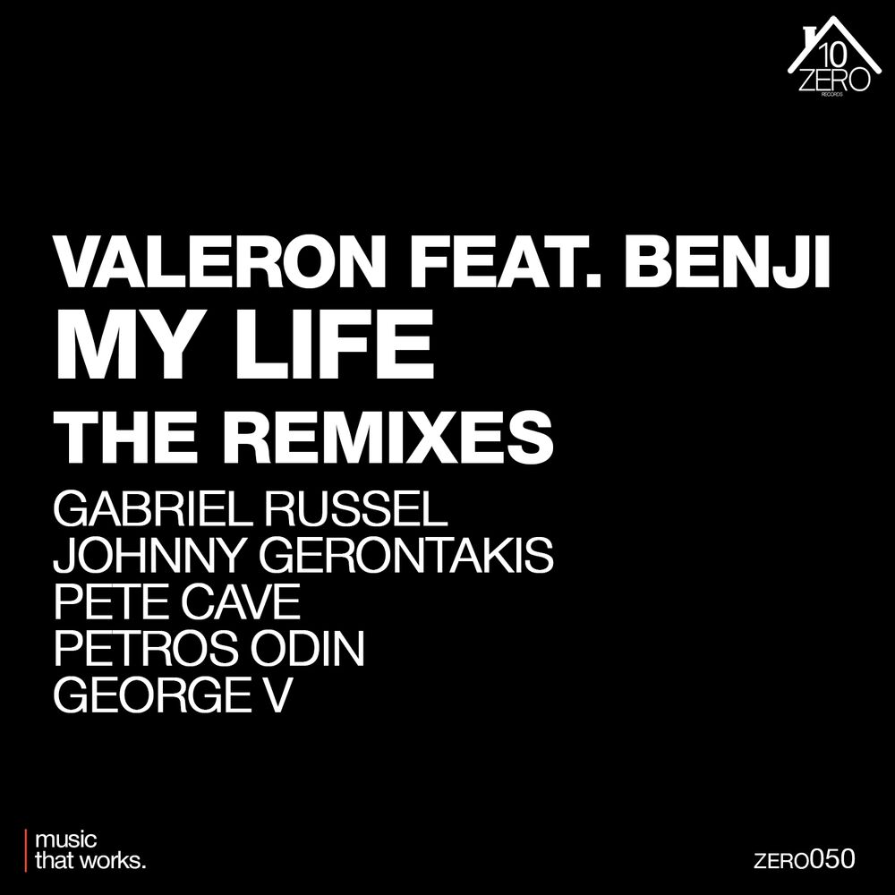 Picture of My Life (Remixes)