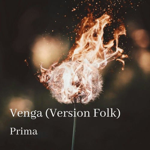 Venga (Version Folk)