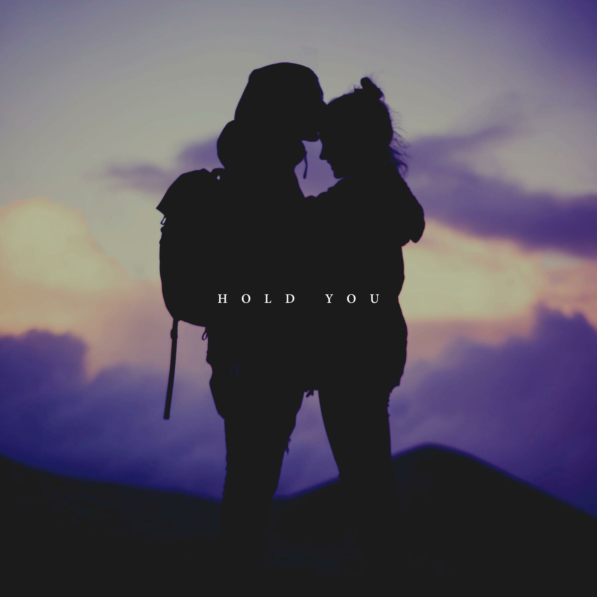 Album cover of Hold You
