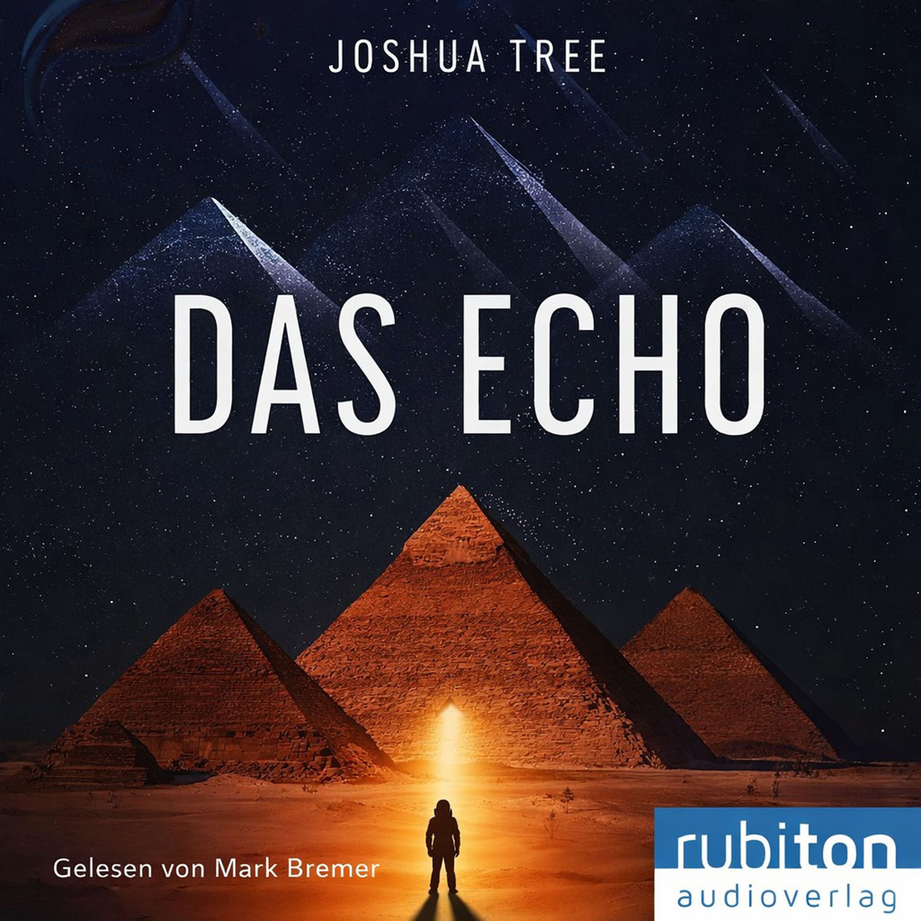 Album cover of Kapitel 01 - Das Echo