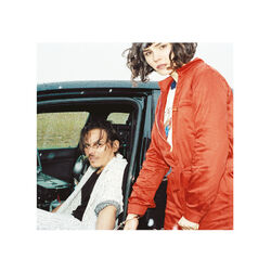 Cover of Shake Shook Shaken B-Sides