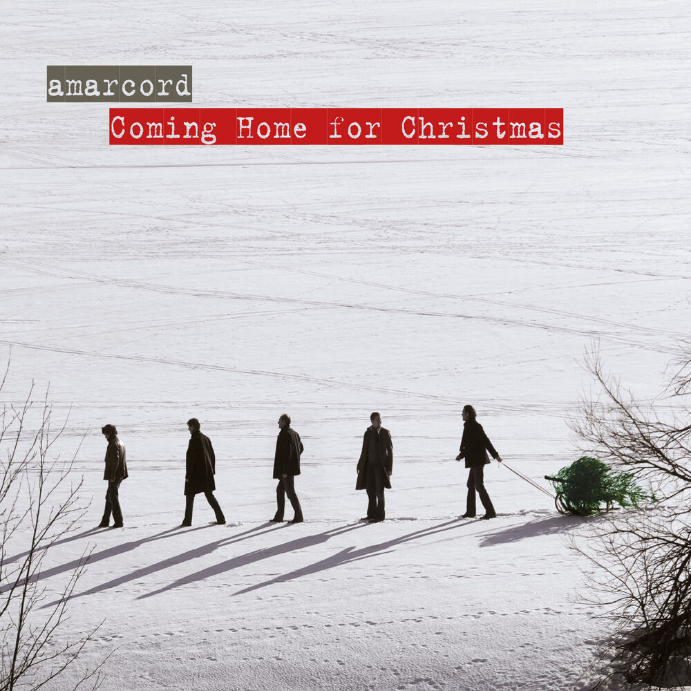 Picture of Coming Home for Christmas