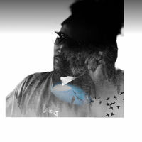 Bobby Wayne: albums, songs, concerts | Deezer