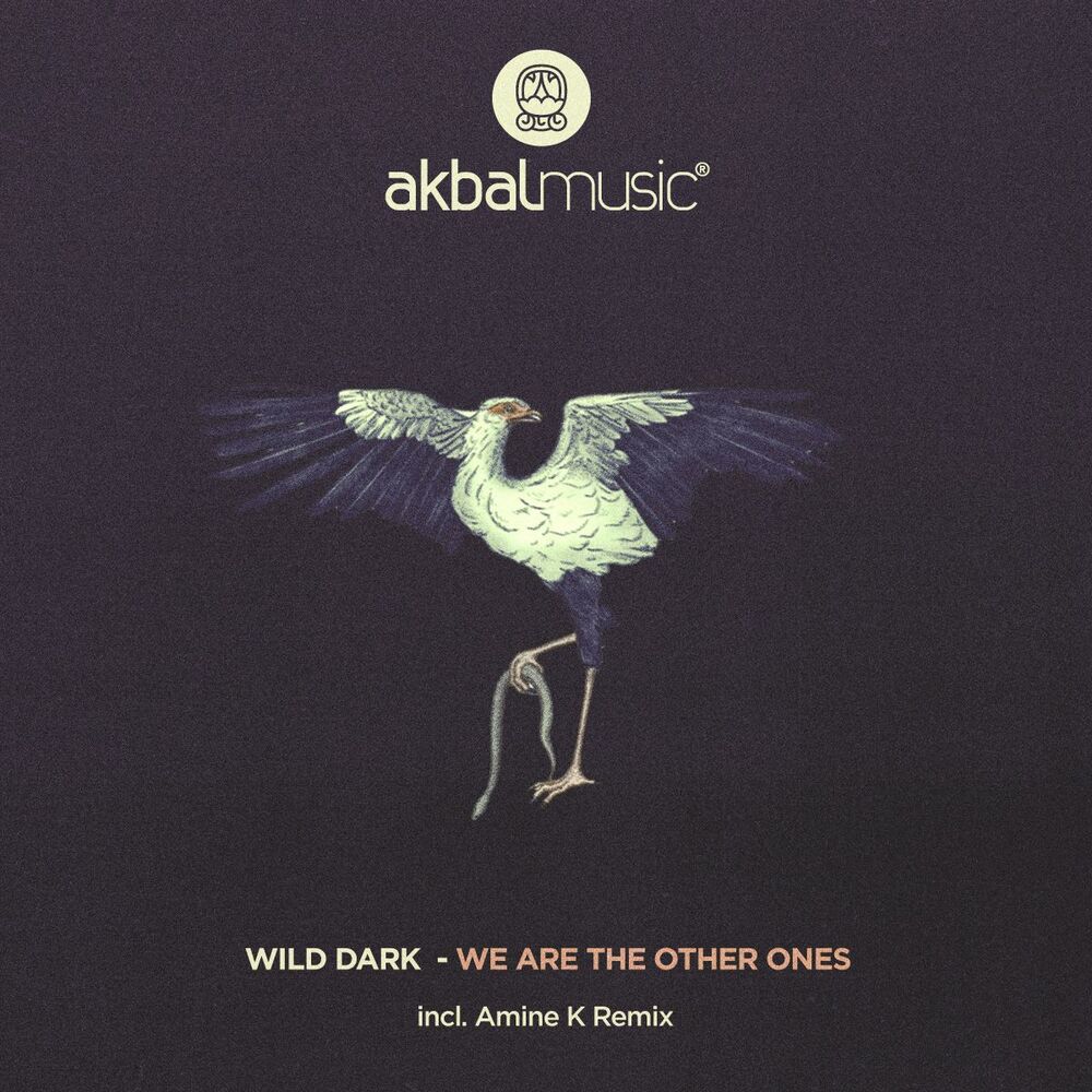 Picture of We Are The Other Ones