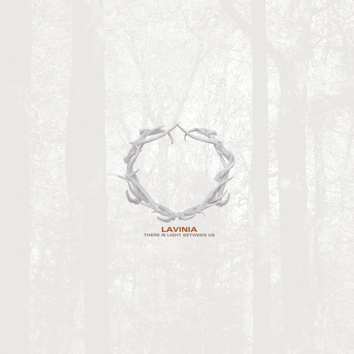 Album cover of A Damning Confession