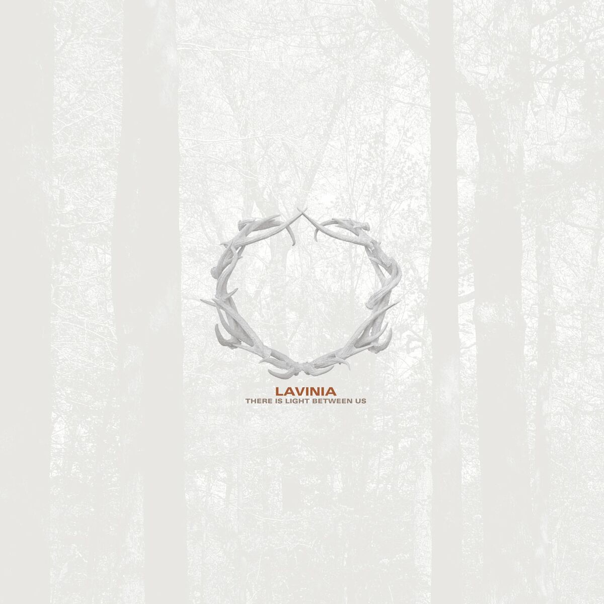 Album cover of There is Light Between Us