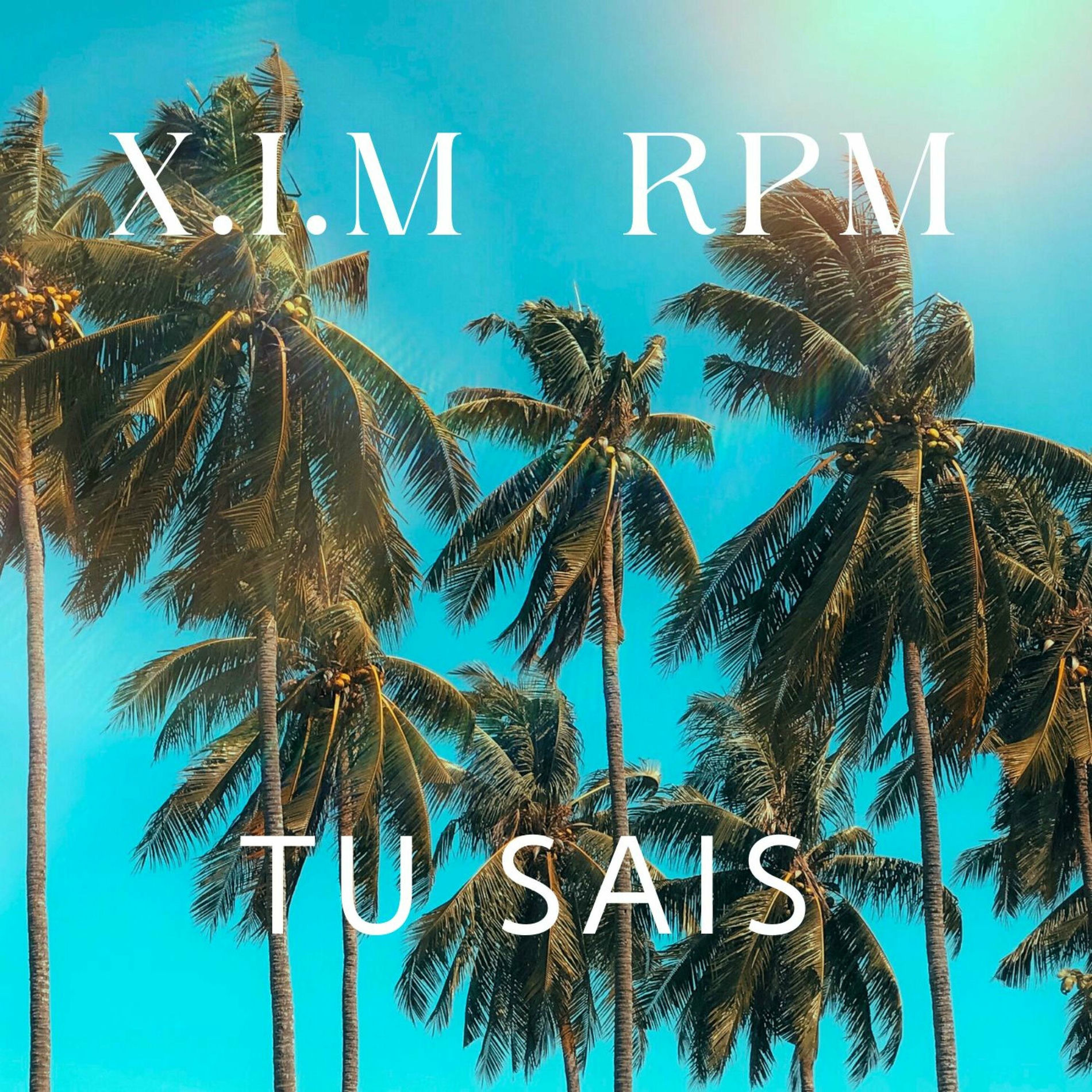 Album cover of Tu Sais (feat. RPM)