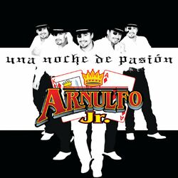Cover of Una Noche De Pasión