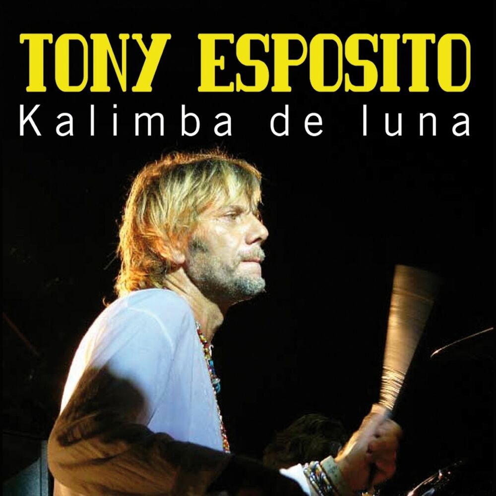 Picture of Kalimba de luna