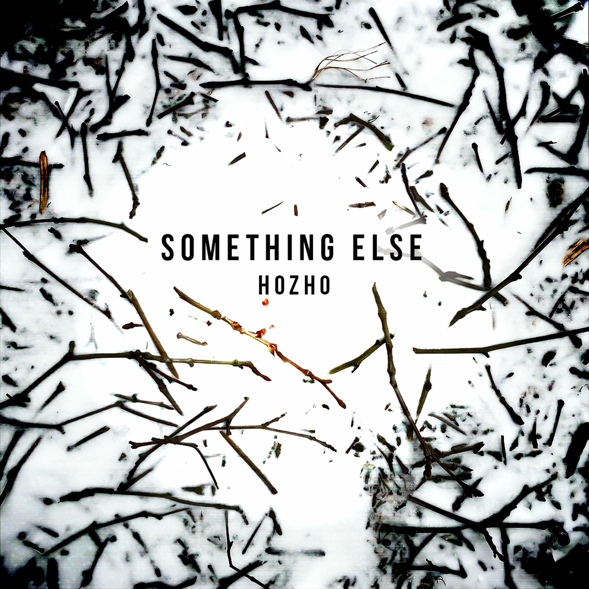 Album cover of Something Else