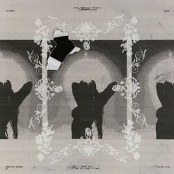 Cover of Hole In A Frame / Pants