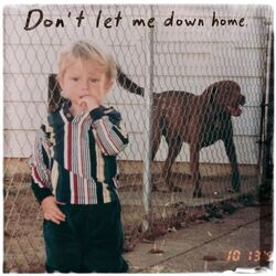 Cover of Don't Let Me Down Home