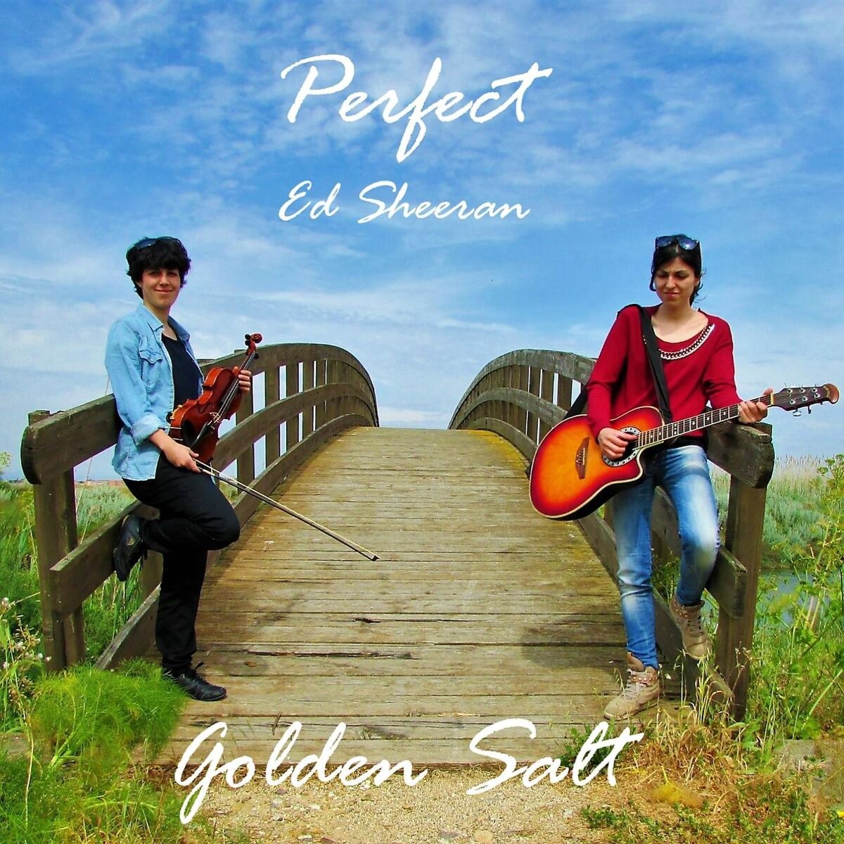 Album cover of Perfect