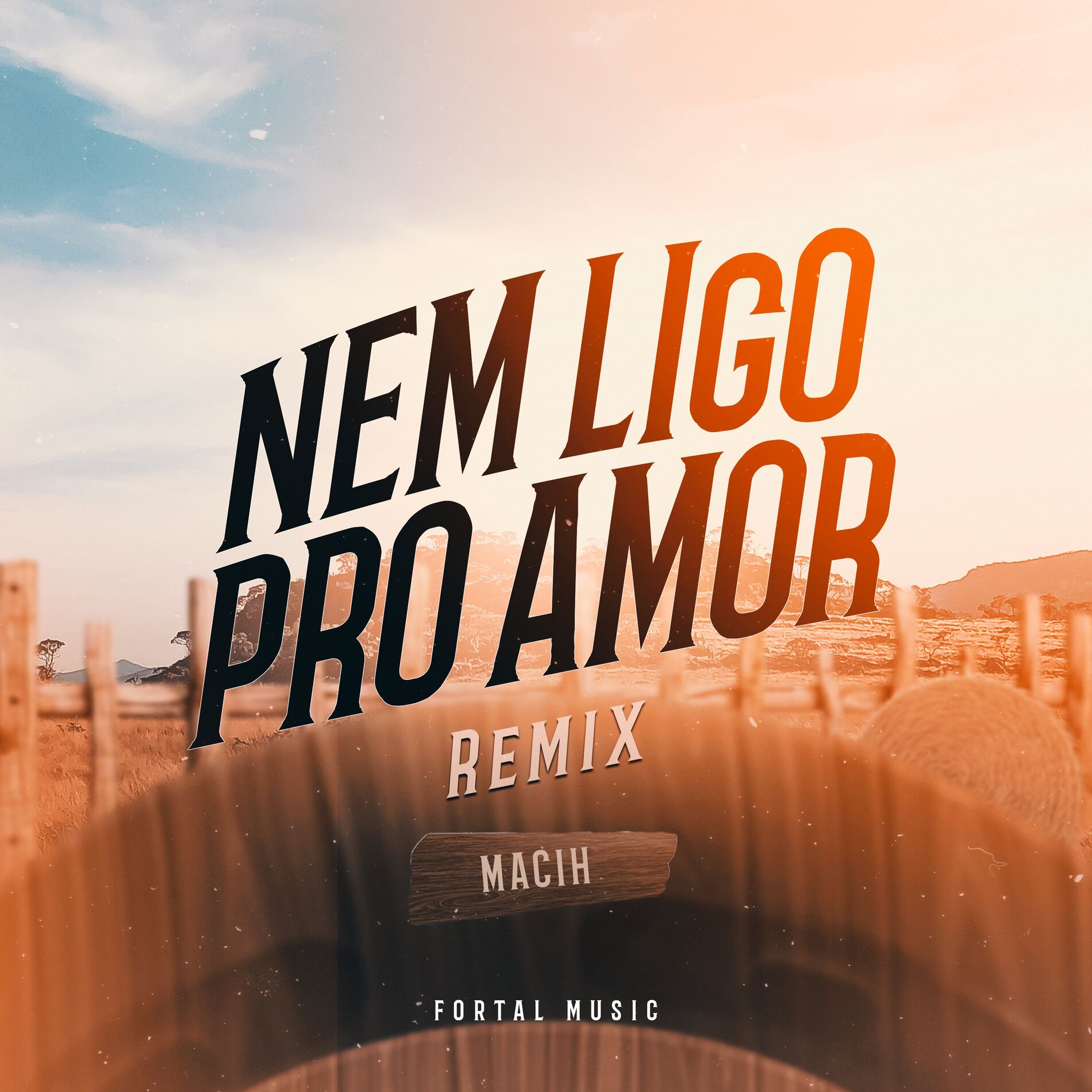 Album cover of Nem Ligo Pro Amor (Remix)