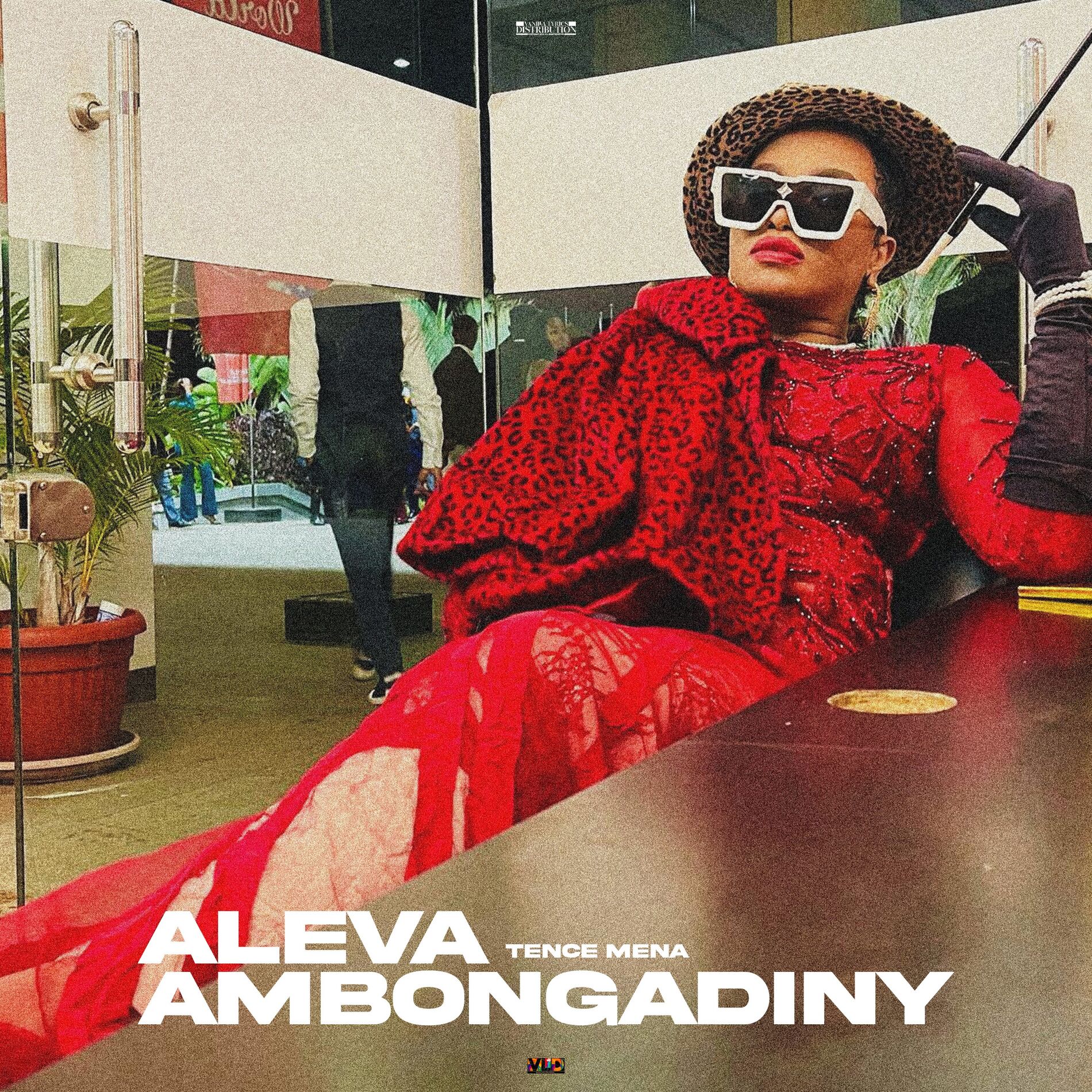 Album cover of Aleva Ambongadiny