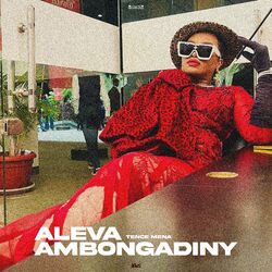Cover of Aleva Ambongadiny