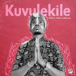 Cover of Kuvulekile