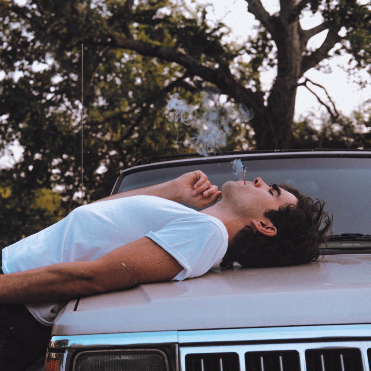 Album cover of Because I'm High