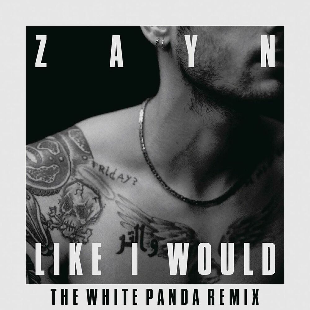Picture of LIKE I WOULD (The White Panda Remix)