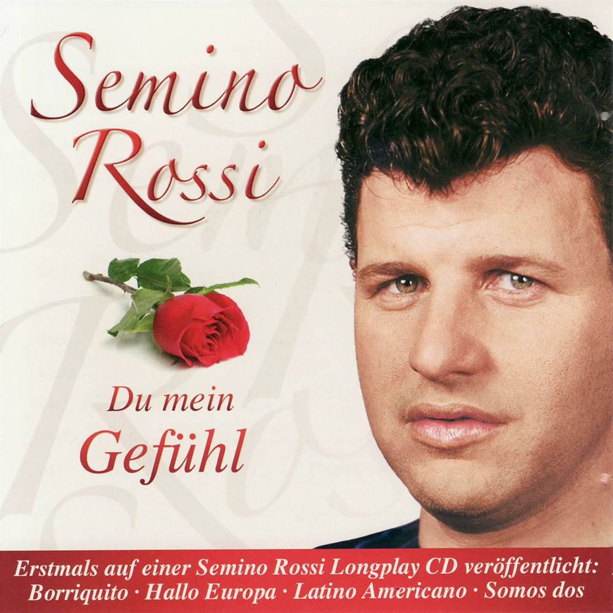Album cover of Du mein Gefühl