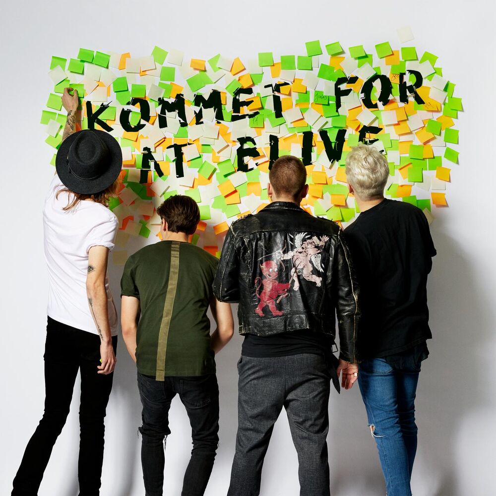 Picture of Kommet For At Blive