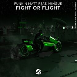 Cover of Fight Or Flight