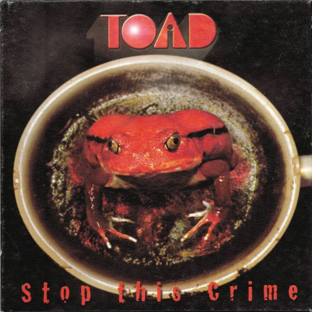 Picture of Stop This Crime