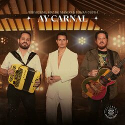 Cover of Ay Carnal