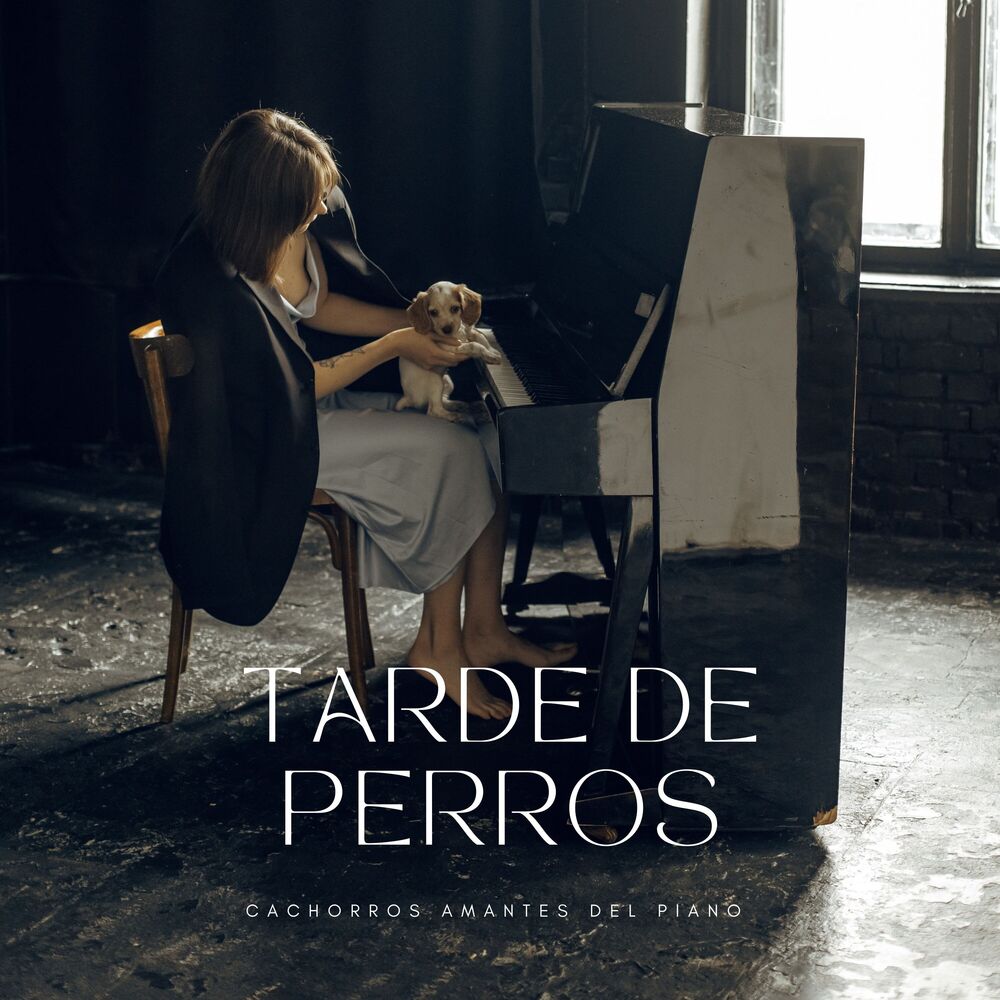 Picture of Cachorros Amantes Del Piano: Tarde De Perros