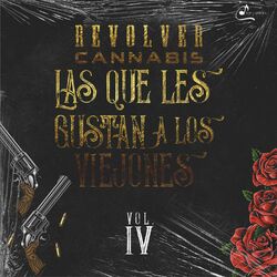 Cover of Las Que Les Gustan a Los Viejones, Vol. 4 (En Vivo)
