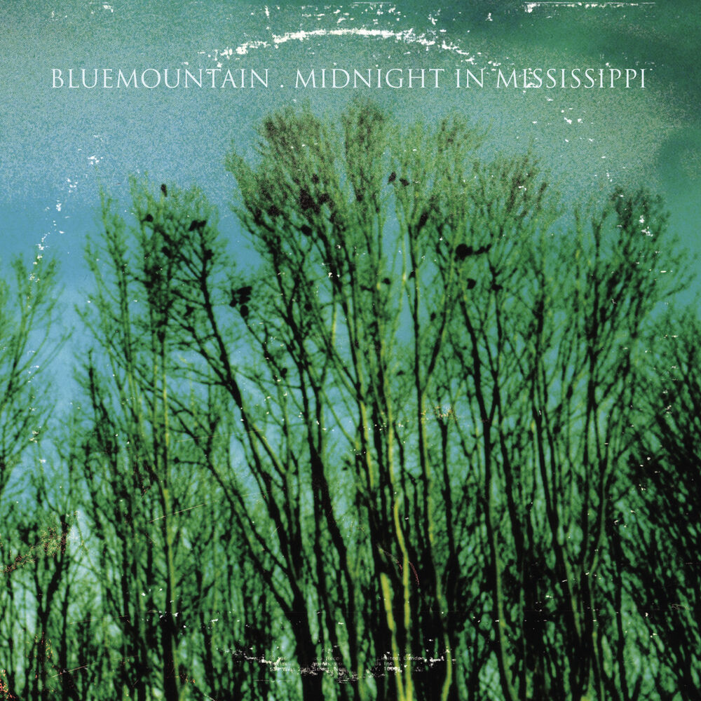 Picture of Midnight In Mississippi