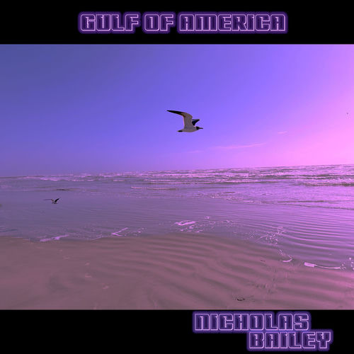 Gulf of America sleeve