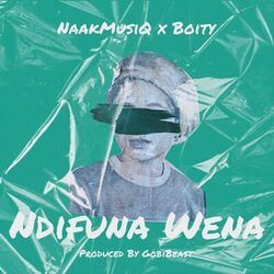Cover of Ndifuna Wena