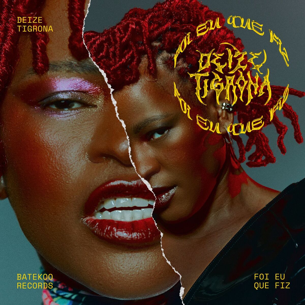 Album cover of Foi Eu Que Fiz