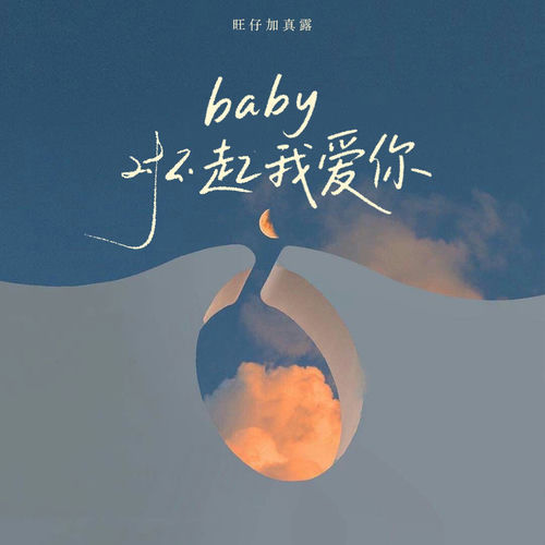 baby 对不起我爱你