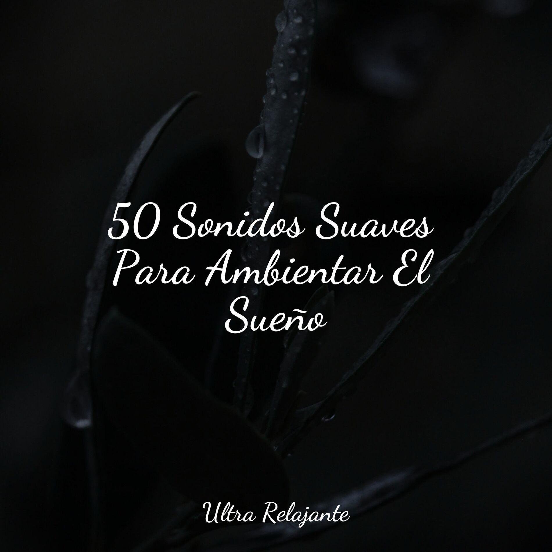 Album cover of 50 Sonidos Suaves Para Ambientar El Sueño
